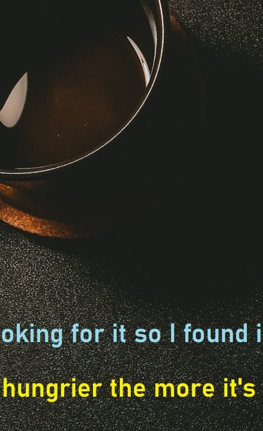 Example Image